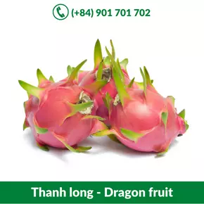 Thanh long - Dragon fruit_-06-11-2021-23-31-57.webp